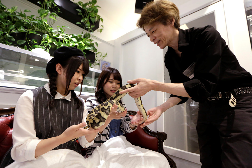 điểm du lịch quán cafe rắn