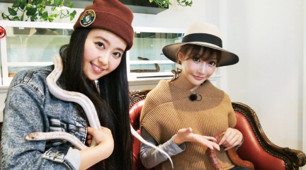 điểm du lịch quán cafe rắn