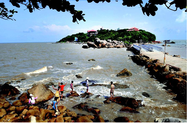 ve may bay di ca mau re