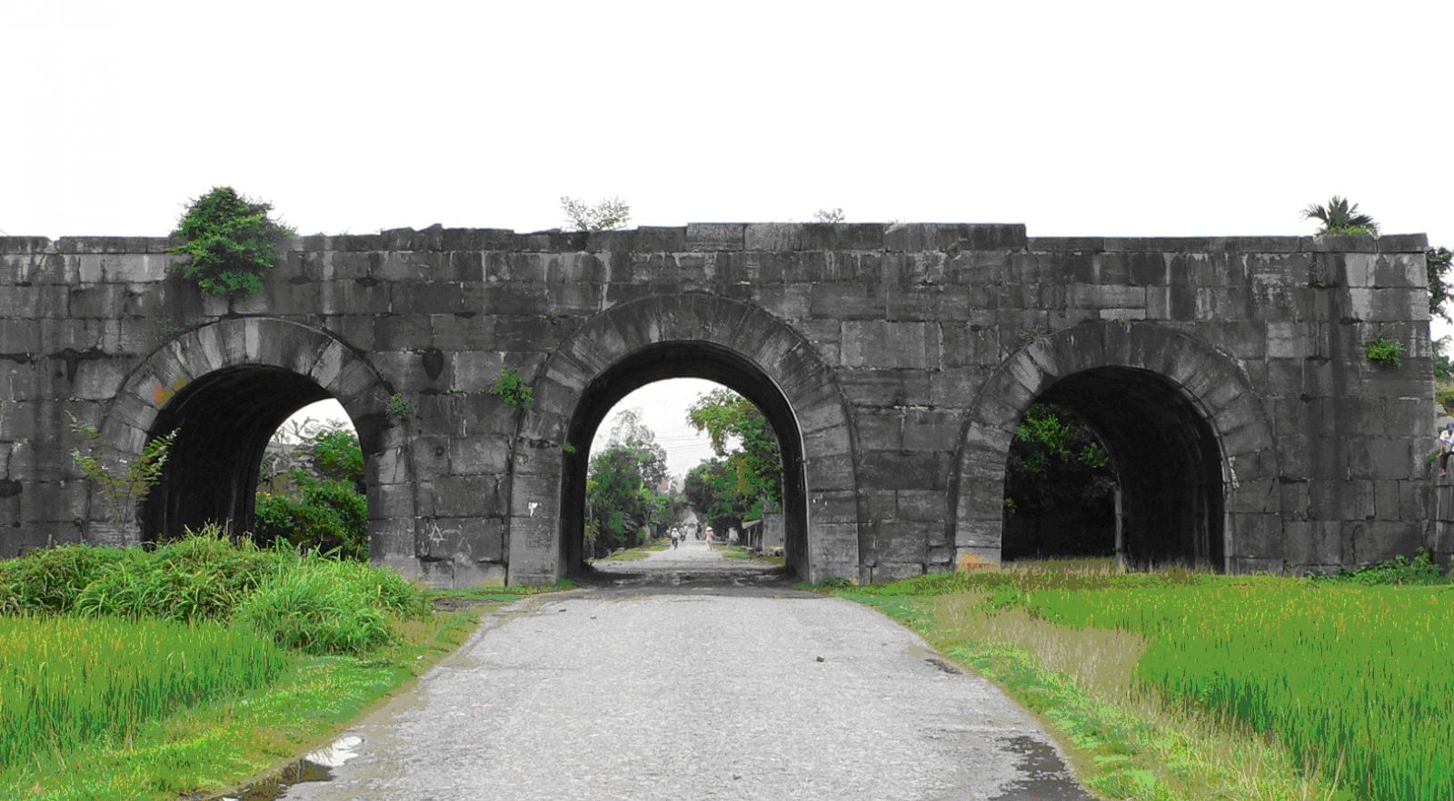 vé máy bay đi thanh hóa giá rẻ