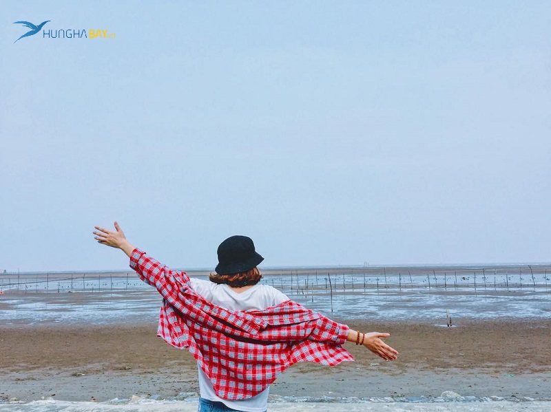 Biển Cồn Vành Thái Bình