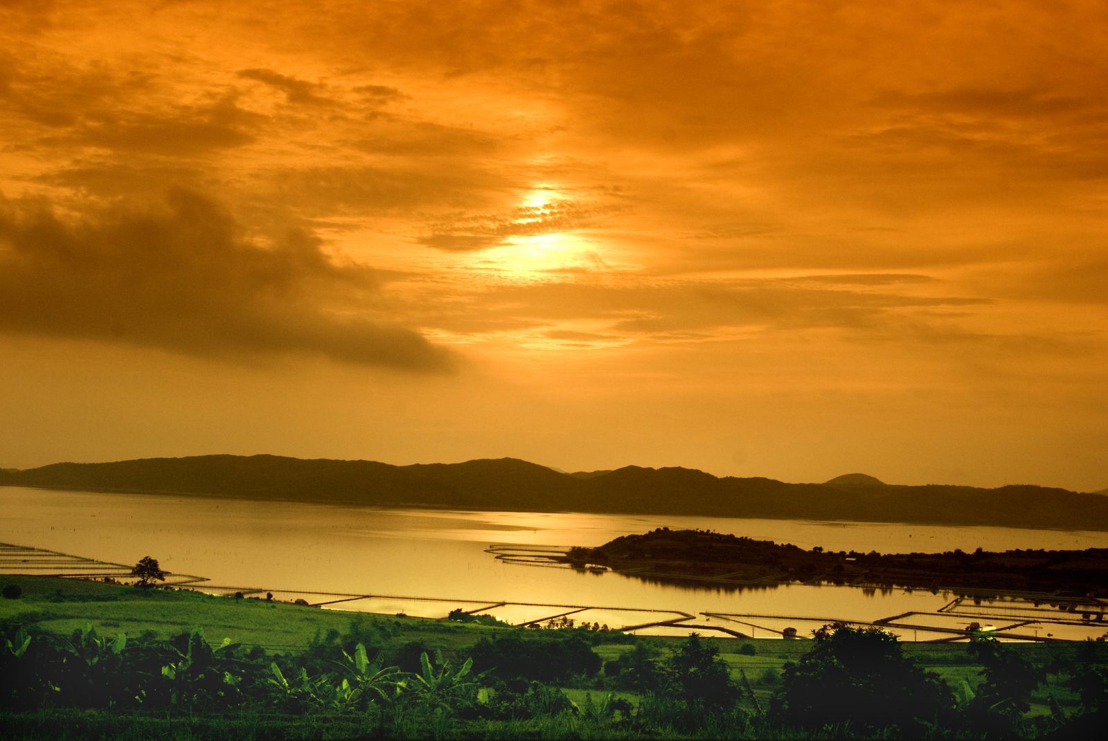 book-ve-may-bay-gia-re-online