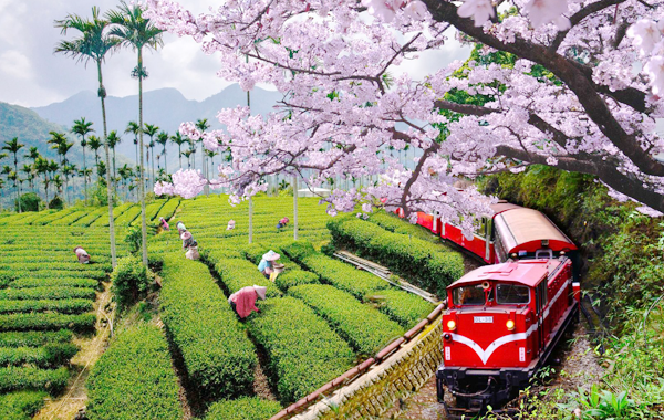 kinh nghiệm du lịch đài loan