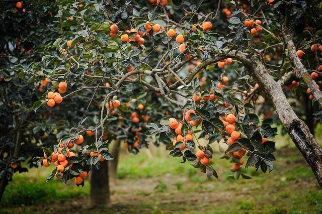 điểm du lịch đà lạt