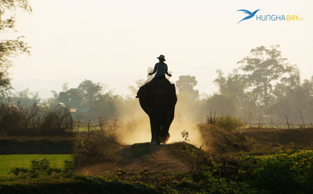 mẹo đặt vé máy bay đi Buôn Mê Thuột