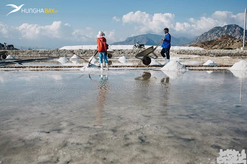 vé máy bay đi Ninh Thuận cánh đồng muối