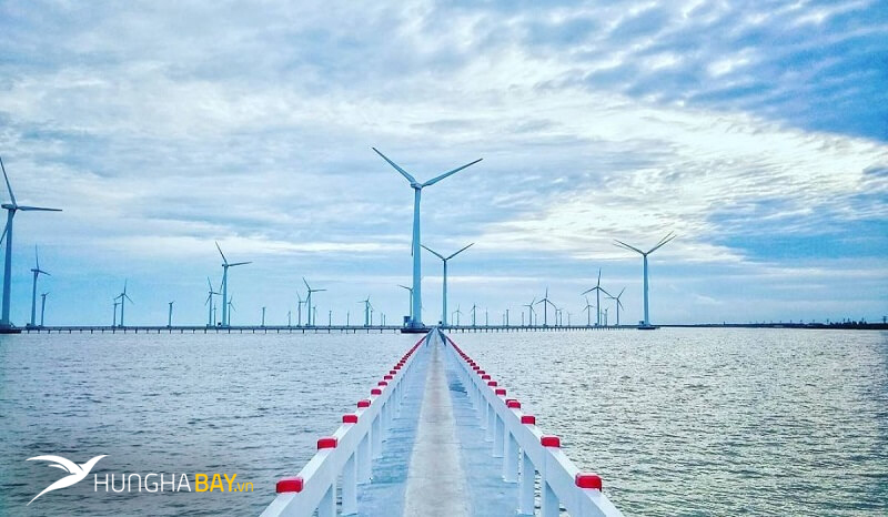 CÁNH ĐỒNG QUẠT GIÓ BẠC LIÊU