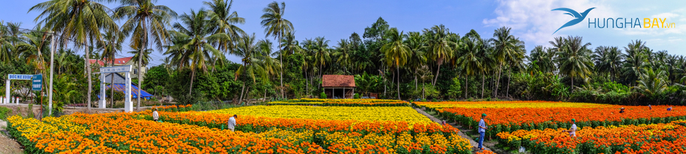 Đặt vé đi Cần Thơ tham quan