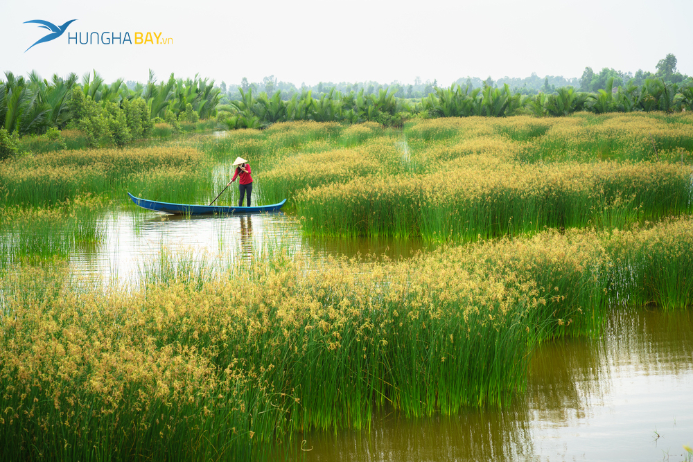 Hướng dẫn cách đặt vé máy bay đi Cần Thơ giá rẻ nhất