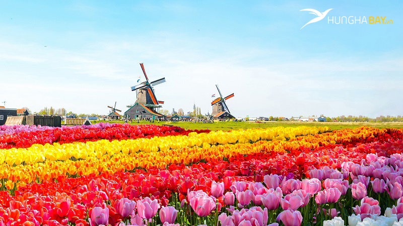 Khu vườn Keukenhof