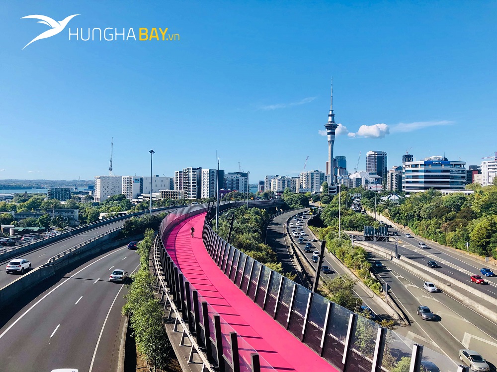 vé máy bay đi New Zealand đến Wellington 