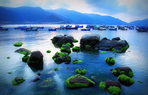 ve-may-bay-di-nha-trang-gia-re
