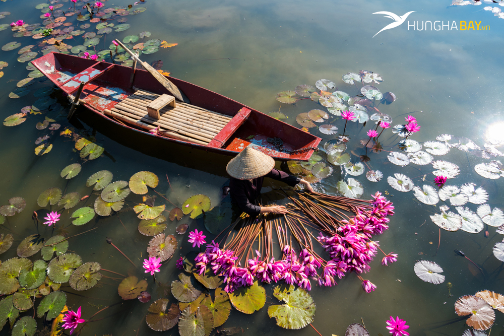 Khu du lịch Tam Cốc - Bích Động