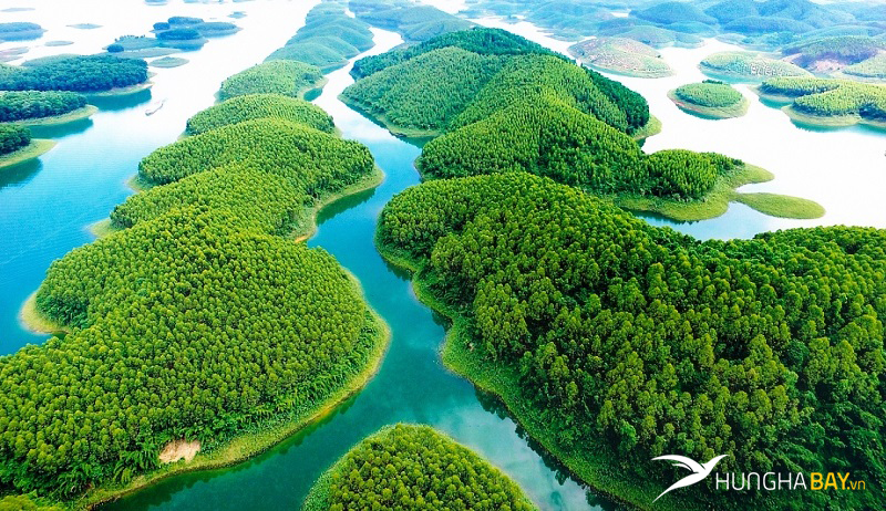 Mua vé máy bay giá rẻ đến Phú Thọ bằng cách nào?