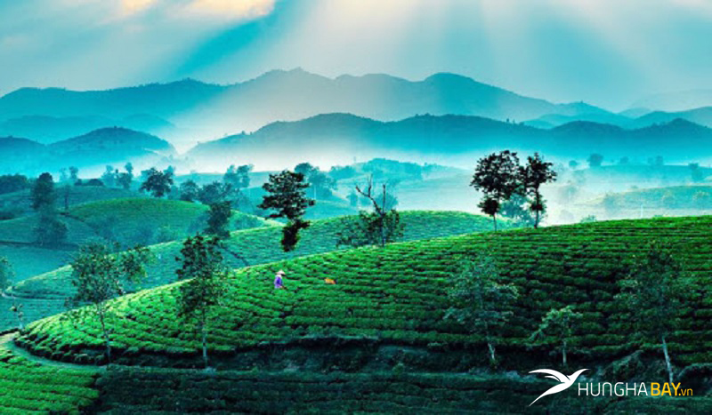 Những đặc sản Phú Thọ bạn không thể bỏ qua